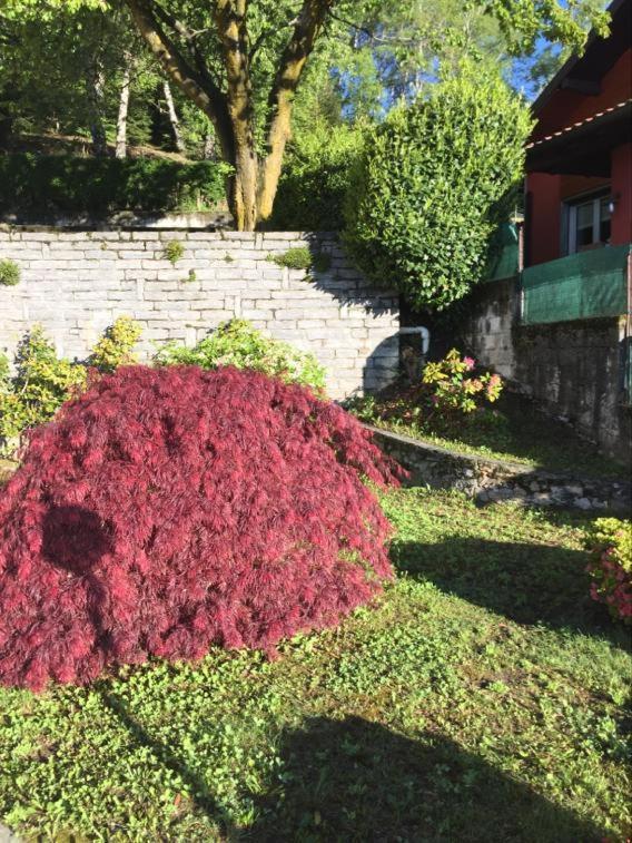 Villa Assunta Premeno Zewnętrze zdjęcie